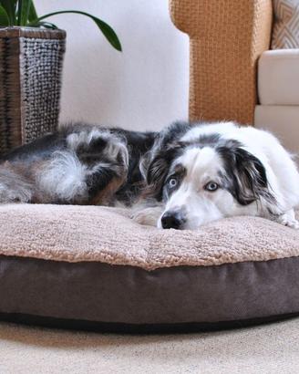 Cuscino ortopedico per cani