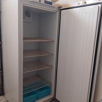 pescheria, macelleria, salumeria, formaggi. 