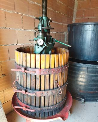 attrezzatura per vinificazione 