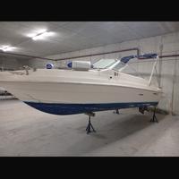 Barca searay seville a motore