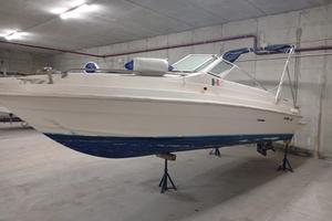 Barca searay seville a motore