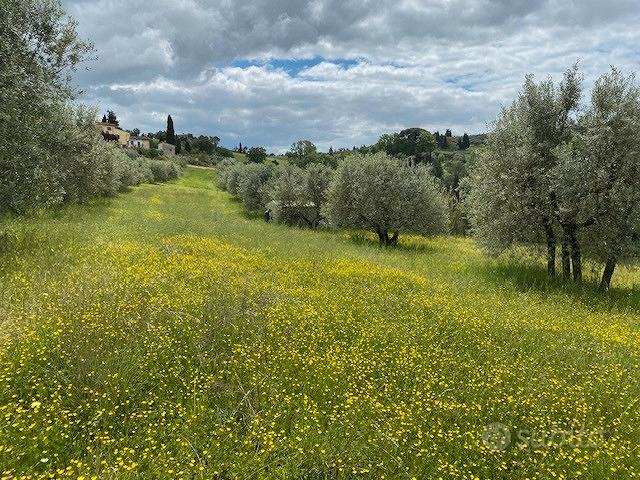 Terreno Agricolo Gambassi Terme - Vista 5