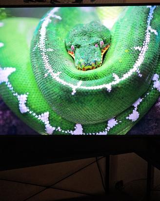 Samsung Smart Tv