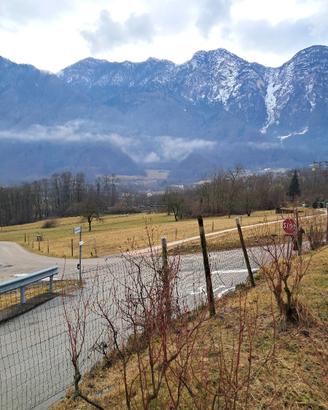 Terreno agricolo Marter