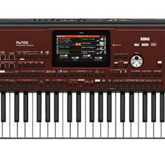 Korg PA700- 3 mesi di vita