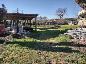 Indipendente a Monsano