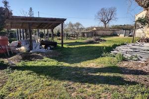 Indipendente a Monsano