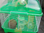 Immagine 2