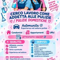 pulizie vario genere 