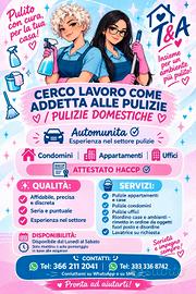 pulizie vario genere 