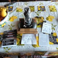 Thrustmaster T. Flight Stick X - Come Nuovo