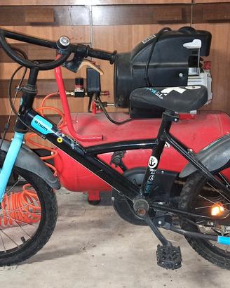 Biciclettina