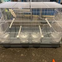 Gabbia nuova piu copia di canarini