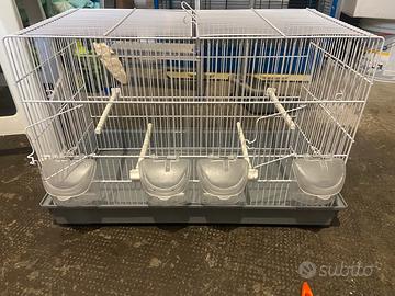 Gabbia nuova piu copia di canarini