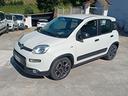 fiat-panda-hybrid-autocarro-4-posti