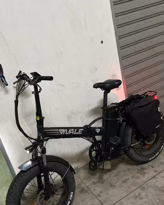 Bici elettrica rivale 250 watt