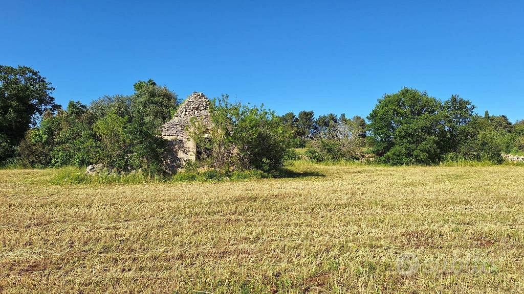 Rustico / Casale di 32 m² a Putignano - Vista 4