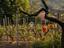 Immagine 27