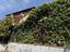 Immagine 23