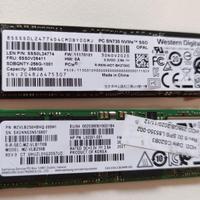 Coppia SSD 256 Gb NVME