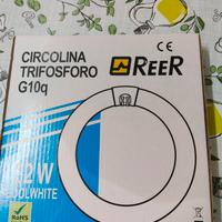 Tubo circolare fluorescente neon