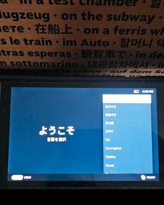 Steam Deck LCD 256gb con accessori