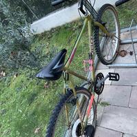 Bicicletta mtb