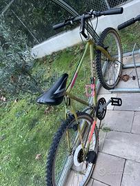 Bicicletta mtb