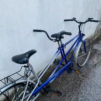 Tandem Atala Family