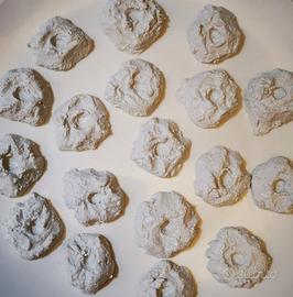 SUPPORTI, PLUG, BASETTE TALEE CORALLI ACQUARIO