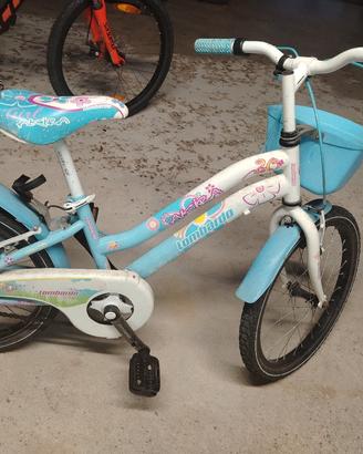 bici lombardo 20