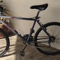 Bici Atala