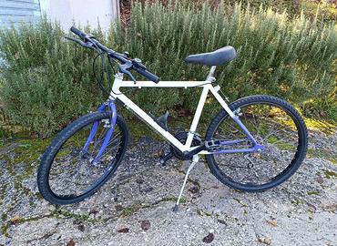 bicicletta mountainbike 24