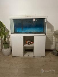 acquario 