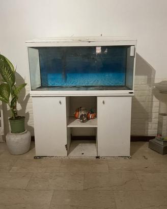 acquario 