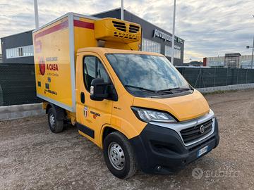 Fiat ducato cella frigo 2.3 130cv commercianti
