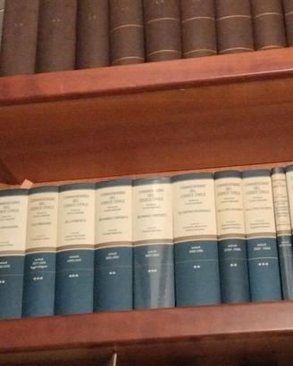 Commentario del Codice Civile