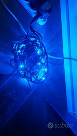 Luci esterne natale blu