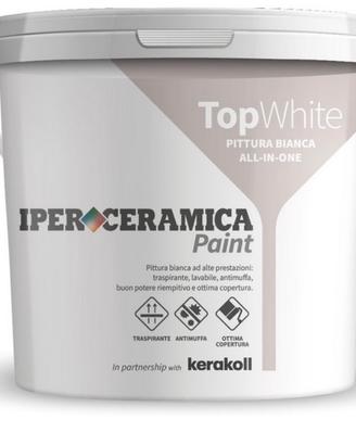 Pittura TopWhite 10L