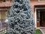 Immagine 19