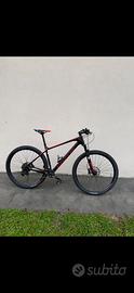 Mtb 29 carbonio focus raven