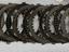Immagine 19