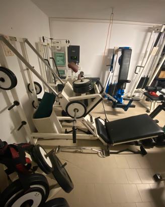 Pressa 45 Technogym +Standing leg curl