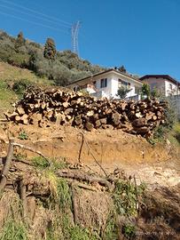 legna da ardere e già tagliata 
