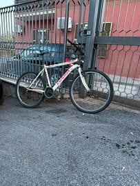 MTB  Uomo/ ragazzo / bambina / donna