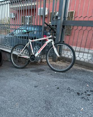 MTB  Uomo/ ragazzo / bambina / donna