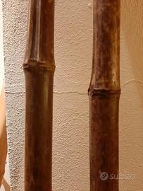 Canne di bambù bamboo nero - diametro 3/4 - h. 200