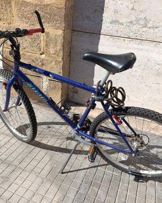 Mountain Bike Atala 