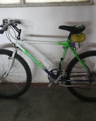 Bicicletta