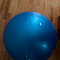 Balance From exercise ball palla per esercizi